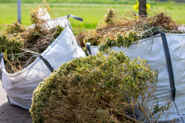 Best Yard Cleanup Services  in Franklinton, NC